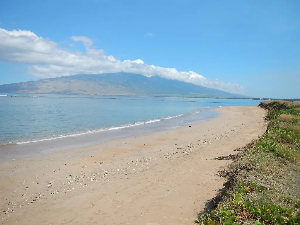 Lejlighed Kauhale Makai Condo On The Beach Kihei